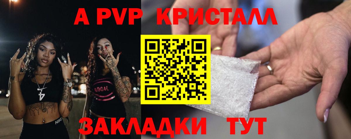 APVP СК Дальнегорск