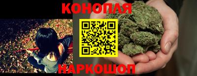 мяу мяу мука Камышлов