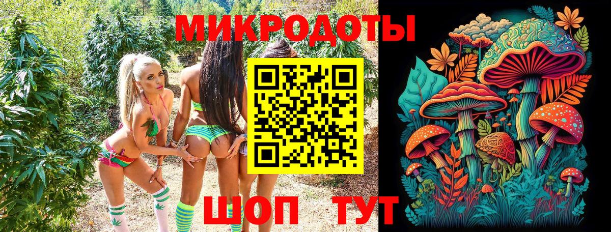 Галлюциногенные грибы Cubensis  Вход с VPN  Галлюциногенные грибы Psilocybe  Дальнегорск 