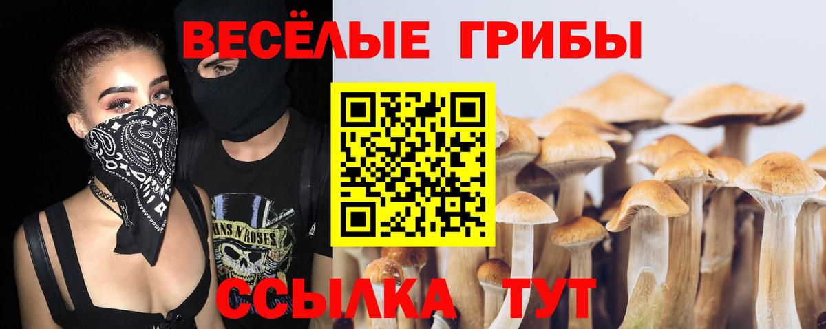 Галлюциногенные грибы MAGIC MUSHROOMS Дальнегорск